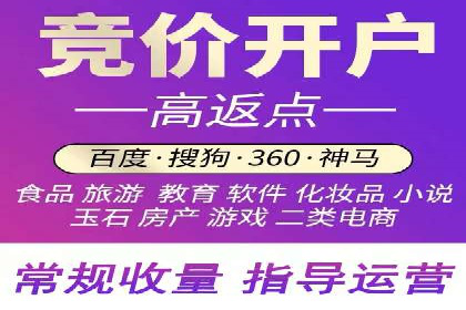 百度竞价托管公司案例分析：打造行业领军企业
